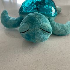 Cloudb twilight turtle