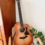 TAYLOR 414ce Studio Sunset Blvd  SEB - New Model Image 3