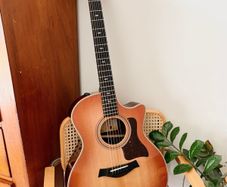 TAYLOR 414ce Studio Sunset Blvd  SEB - New Model
