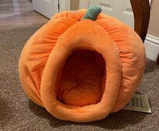 cat bed