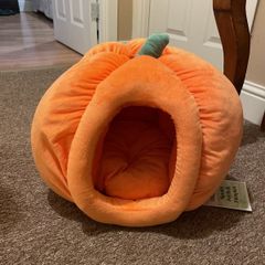 cat bed