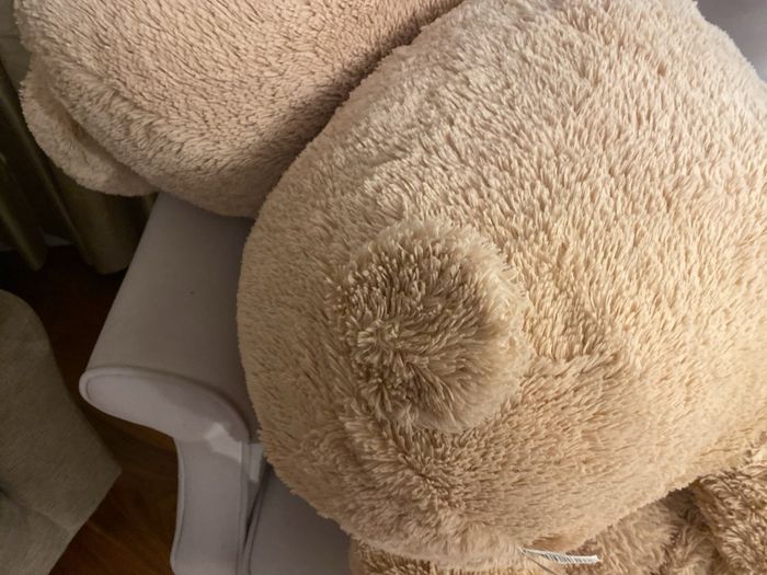 large teddy bear