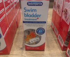 Swim bladder