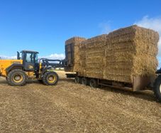 Barley straw 8x4x3