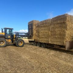 Barley straw 8x4x3