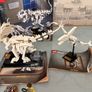 Lego 21320 Dinosaur Fossile Image 4