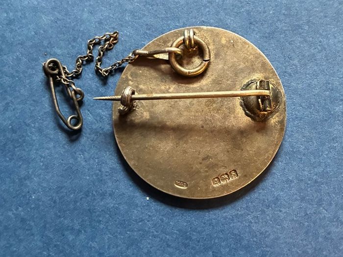 Irish silver Dr Steevens hospital nurses badge 1917