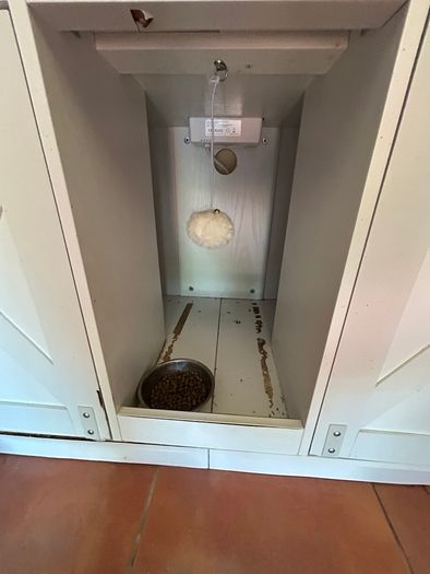 Rabbit / Cat Hutch