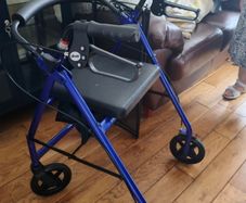 Honor 200 mobility walker