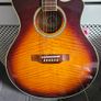 Gibson Epiphone PR 6E Image 6