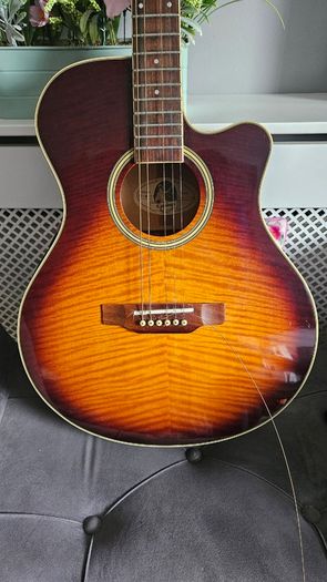 Gibson Epiphone PR 6E
