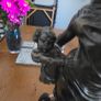 Figurine table lamp Image 3
