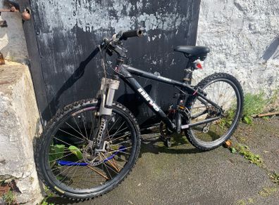 26 Inch Nirve Freek bike
