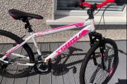 26 inch mountain Bike
