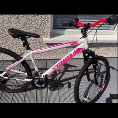 26 inch mountain Bike