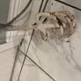 plaster mixer Image 6