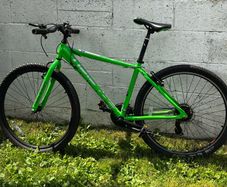 Boys Raleigh bike