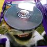 Kinect Kinectimals Xbox 360 games Original Image 8