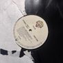 R.E.M vinyl 12" single  Promo Image 2