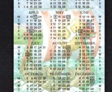 1994 Isle of Man UK5/ 55 units 1995 Calendar - Manx National Holidays (Siemens - S30 (Module 34)) Phone Card