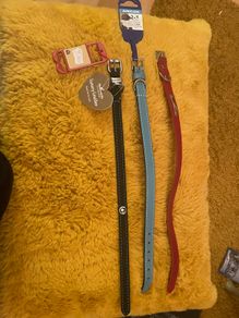 New Leather Dog Collars