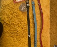 New Leather Dog Collars