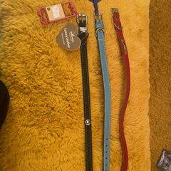 New Leather Dog Collars