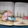Pig's Egg By Katherine Sully & Sam Chaffey Image 2