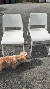 White Chairs