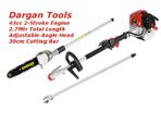 Pole Saw 43cc 2-Stroke Dargan DG17