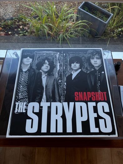 The Strypes Snapshot LP