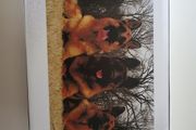 Wooden jigsaw puzzles 1000pc German Shepherd dogs NEW