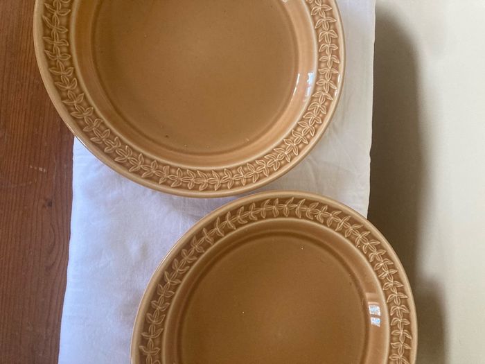 Portmeirion Botanic Garden Harmony Amber Deep Dinner Plate 26.5 cm