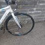 Adults Bike Image 3