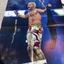 wrestling bundle Image 6
