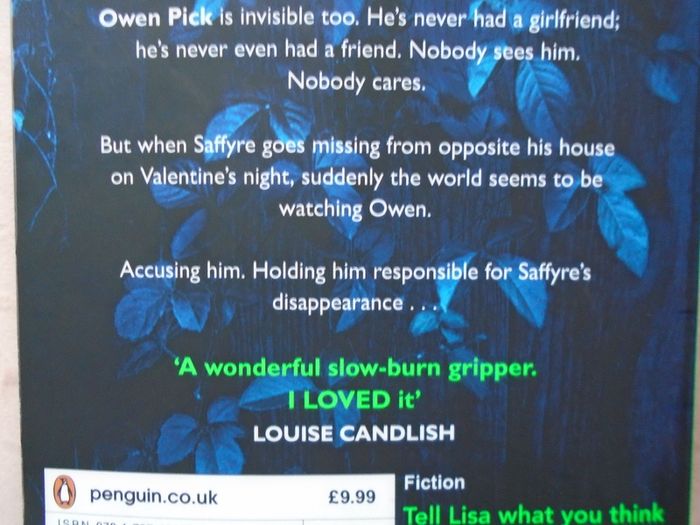 Paperback book, Fiction, Book, Invisible Girl, Lisa Jewell