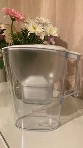 Water filter (brita)