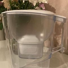 Water filter (brita)