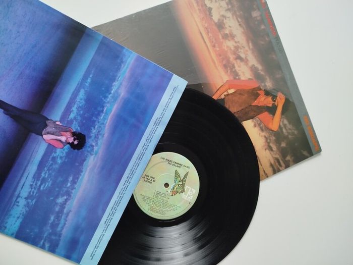 The Marc Tanner Band vinyl lp
