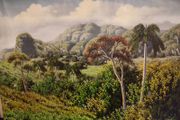 Cuba painting