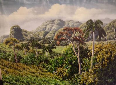 Cuba painting