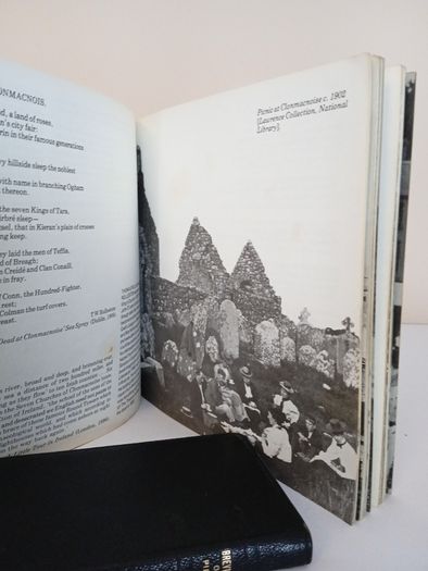 Dublin and Leinster: A Photographic Literary Record 1875-1925 by Art O'Broin and Sean McMahon (PT152)