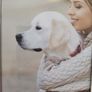 Picture frame 5x7 silver plated Image 3