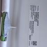 Graco Bumper jumper Image 3