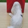 Donegal Parian China porcelain figurine of a cocker spaniel Image 5