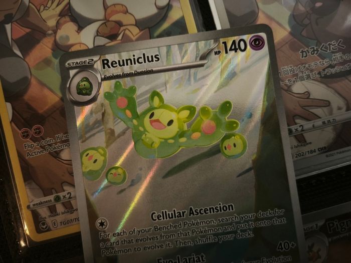 Reuniclus ! Scarlet & Violet Promo ! 2025 ! Pokemon Card !
