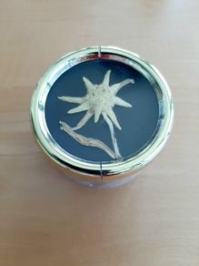 Swiss music box