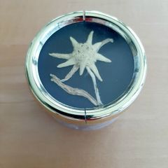 Swiss music box