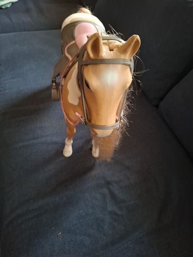 New generation horse