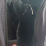 Targus Essential 16 inch Backpack Image 3